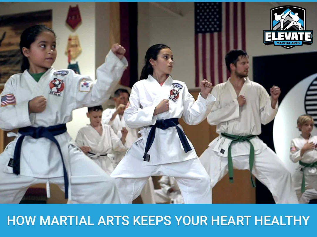 How Martial Arts Keeps Your Heart Healthy Elevate Martial Arts Tampa