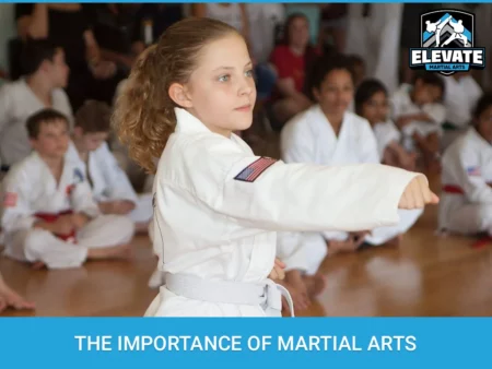Reasons for doing Martial Arts