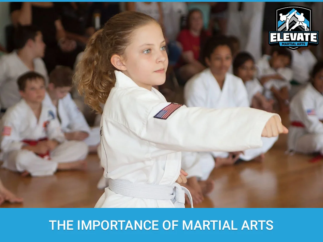 The Importance Of Martial Arts Elevate Martial Arts Tampa