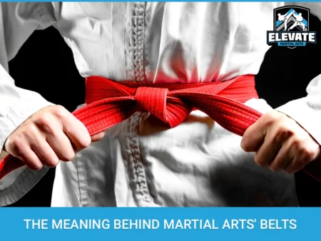 What a Martial Arts Belt Means