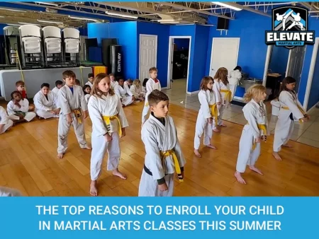 Reasons to Enroll Your Children in Martial Arts Classes